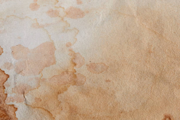 istock Blank old yellow aged paper vintage and texture background. 1862621306