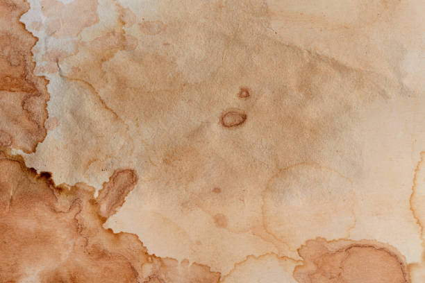 istock Blank old yellow aged paper vintage and texture background. 1862621817