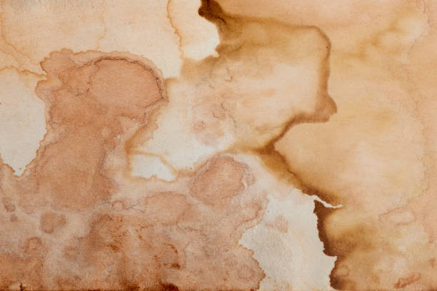 istock Blank old yellow aged paper vintage and texture background. 1862621837