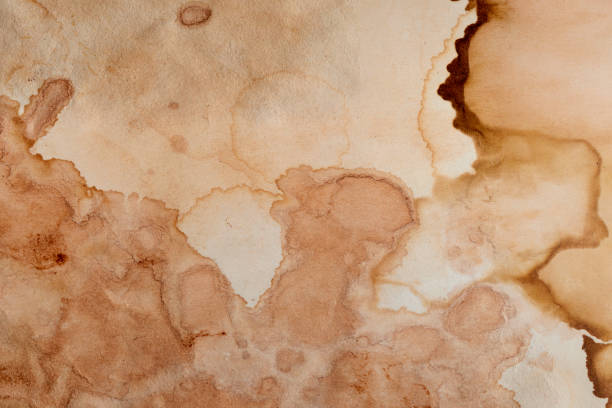 istock Blank old yellow aged paper vintage and texture background. 1862621841