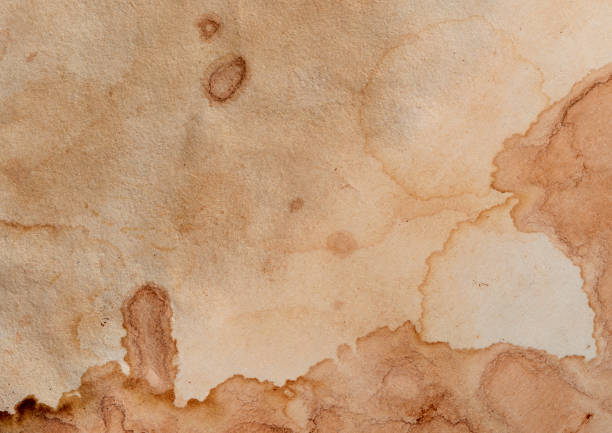 istock Blank old yellow aged paper vintage and texture background. 1862622886