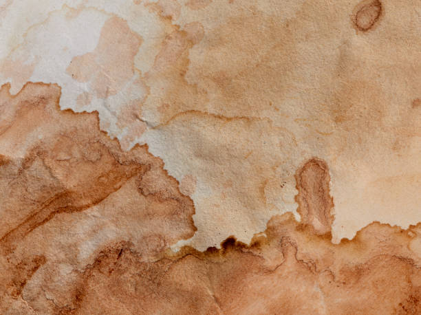 istock Blank old yellow aged paper vintage and texture background. 1862622889