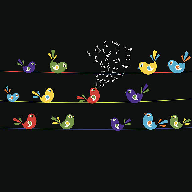 colorful bird vector art illustration