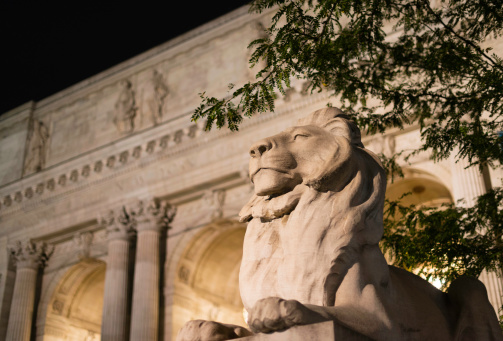 Night shot of the lion statue that flanks the front entrance to New York's Public Library, with defocused façade in the background.