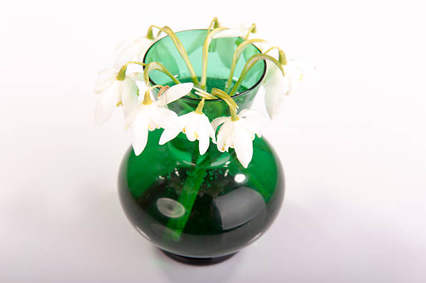 istock Snowdrop in green vase. Galanthus nivalis 186262803