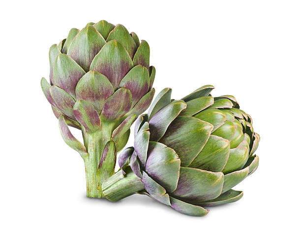 artichoke Ripe green artichokes isolated on white background artichoke stock pictures, royalty-free photos & images
