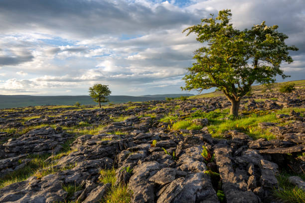 istock Ribblesdale in the Yorkshire Dales 1862654984