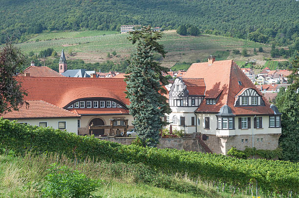 istock Sankt Martin,German Wine Route,Germany 186265556