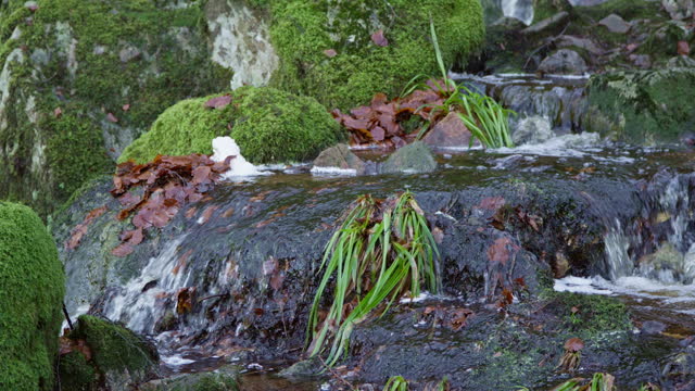 Close up of water flowing over stones