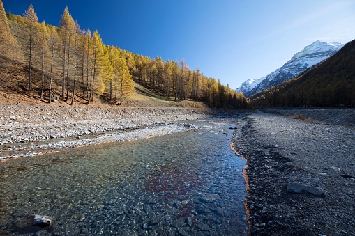 Larch trees lit up by the sun and dressed in their autumn colours line the path leading to the Val Troncea. In the centre of the valley, the Chisone torrent flows placidly in its crystal-clear waters. In the background, the snow-capped peak of Monte Motta emerges from the valley, already lapped by the evening shadows.