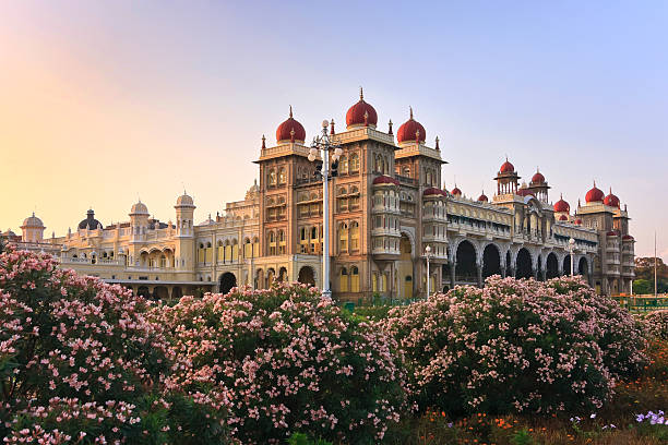 palast von mysore, indien - mysore stock-fotos und bilder