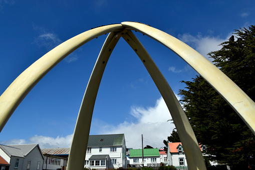Port Stanley, East Falkland, Falkland Islands: the whalebone arch, located by the Cathedral, on Ross Road, a structure erected in 1933, using the jawbones of two blue whales, it commemorates the centenary of continuous British administration in the Falklands.
