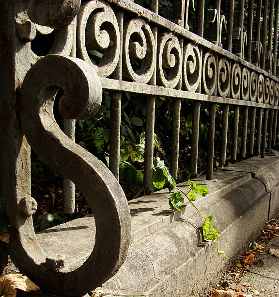 istock old curly rusty fence with some leaves 186269670