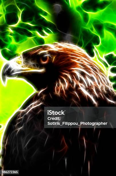 Brown Predator Is Watching Stock Photo - Download Image Now - Abstract, Animal, Animal Body Part