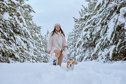 girl in winter clothes plays with Beagle dog in winter in the snow, winter holiday concept