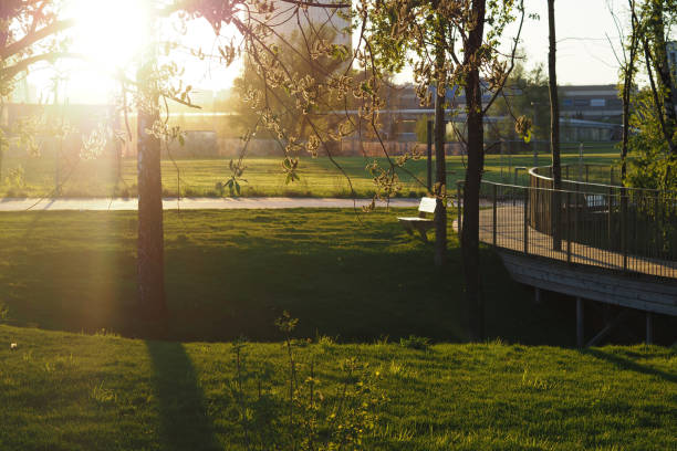 evening park bokeh background sun urban redevelopment sunset walk pass