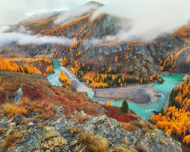 Photo of Autumn mountain valley with golden larches and a winding turquoise river under thick snow clouds.
