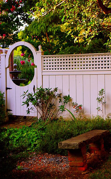 istock Little Piece of Serenity 186275518