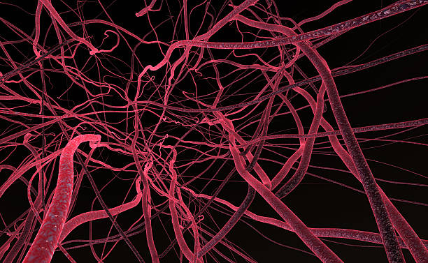 istock red organic fiber 186277907