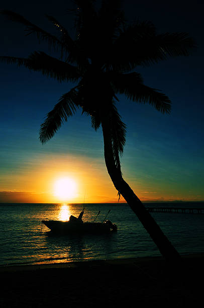 beach sunset - coconut tree and boat Vohilava, Île Sainte Marie, Madagascar: beach sunset - coconut tree and boat - photo by M.Torres analanjirofo region stock pictures, royalty-free photos & images