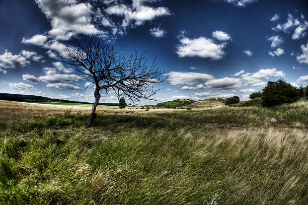 Prairie HDR Grassland stock photo