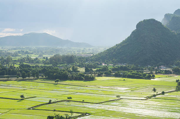 istock mountain and fog 186278793