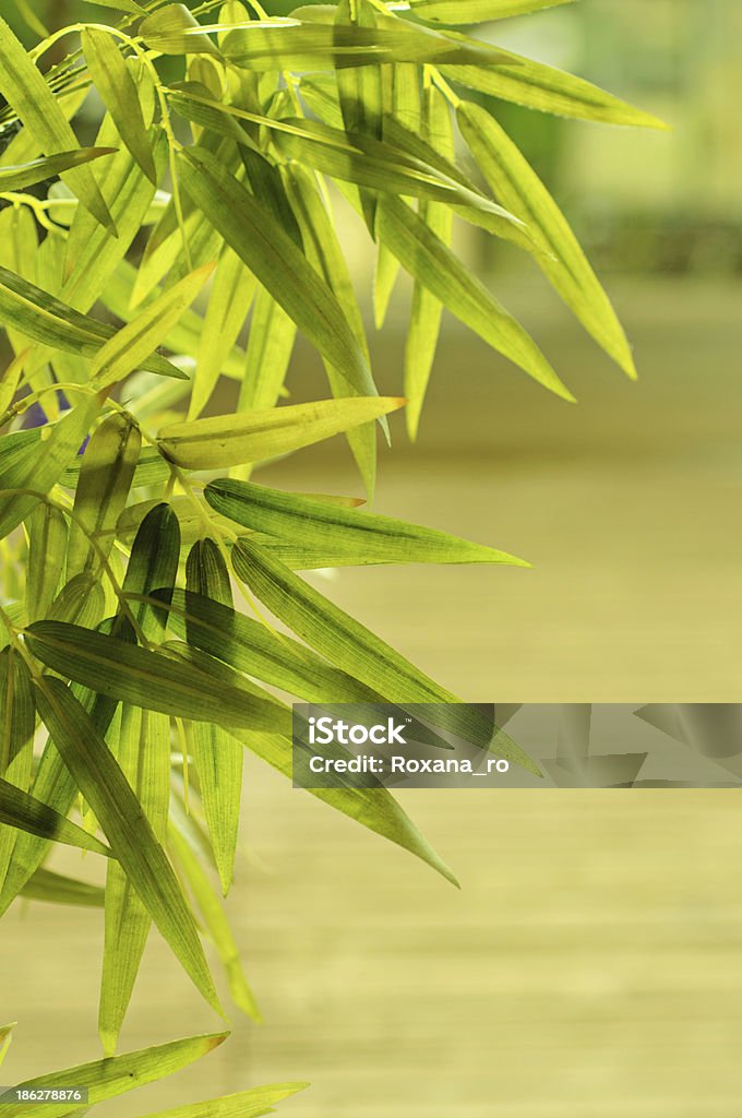 Tropische Blätter frame - Lizenzfrei Abschied Stock-Foto