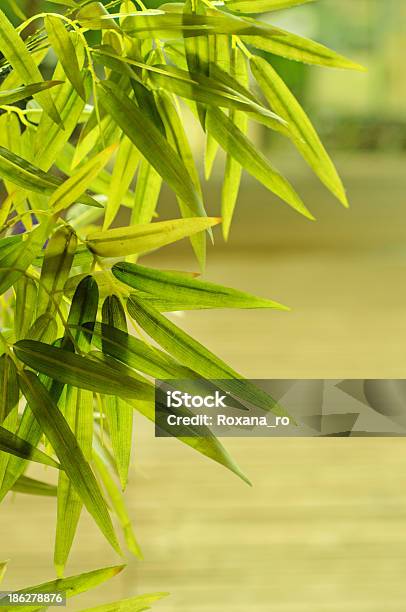 Tropische Blätter Frame Stockfoto und mehr Bilder von Abschied - Abschied, Abstrakt, Ast - Pflanzenbestandteil