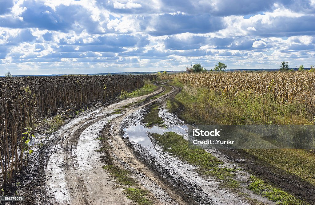 Outonal paisagem na Ucrânia - Foto de stock de Agricultura royalty-free