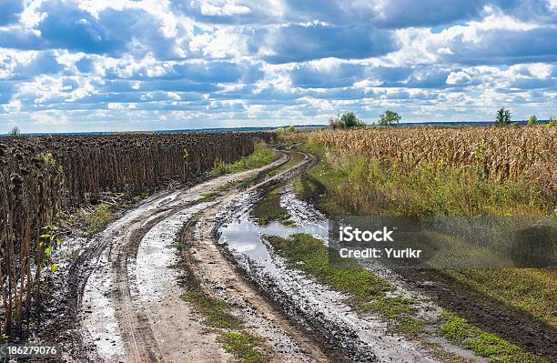 Foto de Outonal Paisagem Na Ucrânia e mais fotos de stock de Agricultura - Agricultura, Ajardinado, Alimentação Saudável