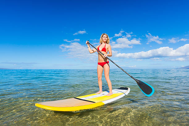 istock Stand Up Paddle Surfing In Hawaii 186279248