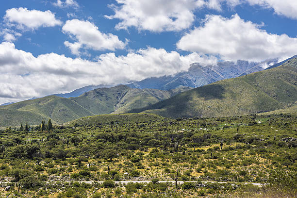 calchaqui valley en tucuman, argentina - photography north america cactus plant fotografías e imágenes de stock