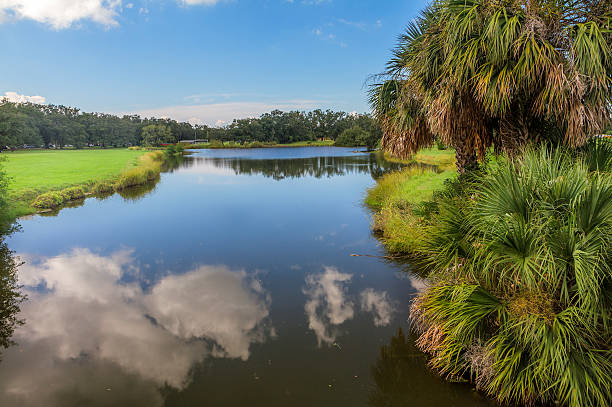 istock City Park, New Orleans 186281634