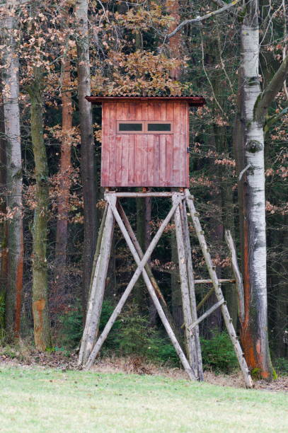istock High seat for hunters and gamekeepers in the forest. 1862822693