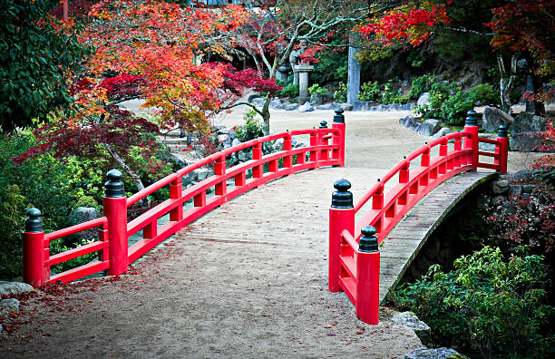 istock Bridge and Autumn Colours in Miyajima Japan 186282600