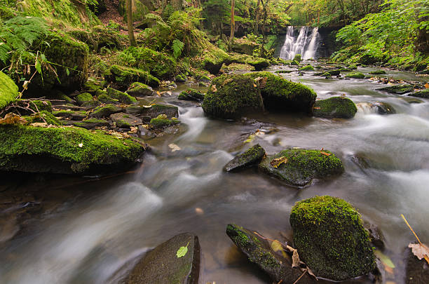 istock Yorkshire Dales - Goit Stock Waterfall 186285005