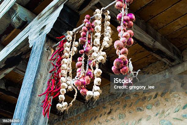 Conjunto De Lições - Fotografias de stock e mais imagens de Agricultura - Agricultura, Alho, Ao Ar Livre