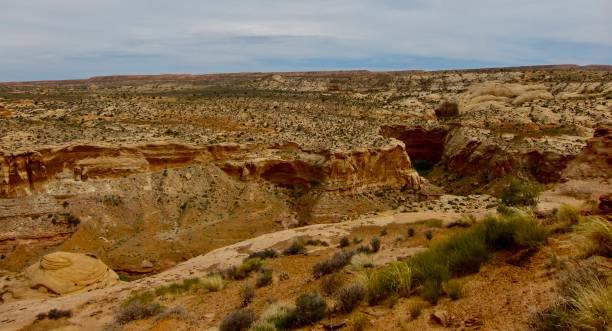 istock Above the trail to Horseshoe Canyon 1862869321