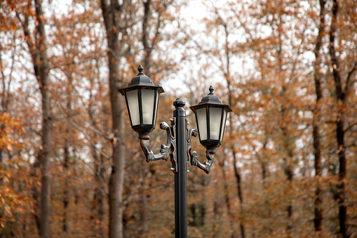 A street lamp with autumn colors