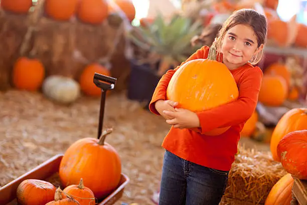 Photo of Cute girl choosing a pumpkin at a pumpkin patch