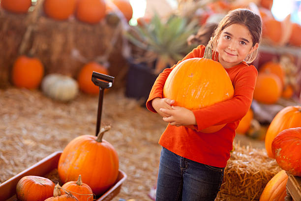 ładny dziewczyna wybór dyni - pumpkin child little girls pumpkin patch zdjęcia i obrazy z banku zdjęć