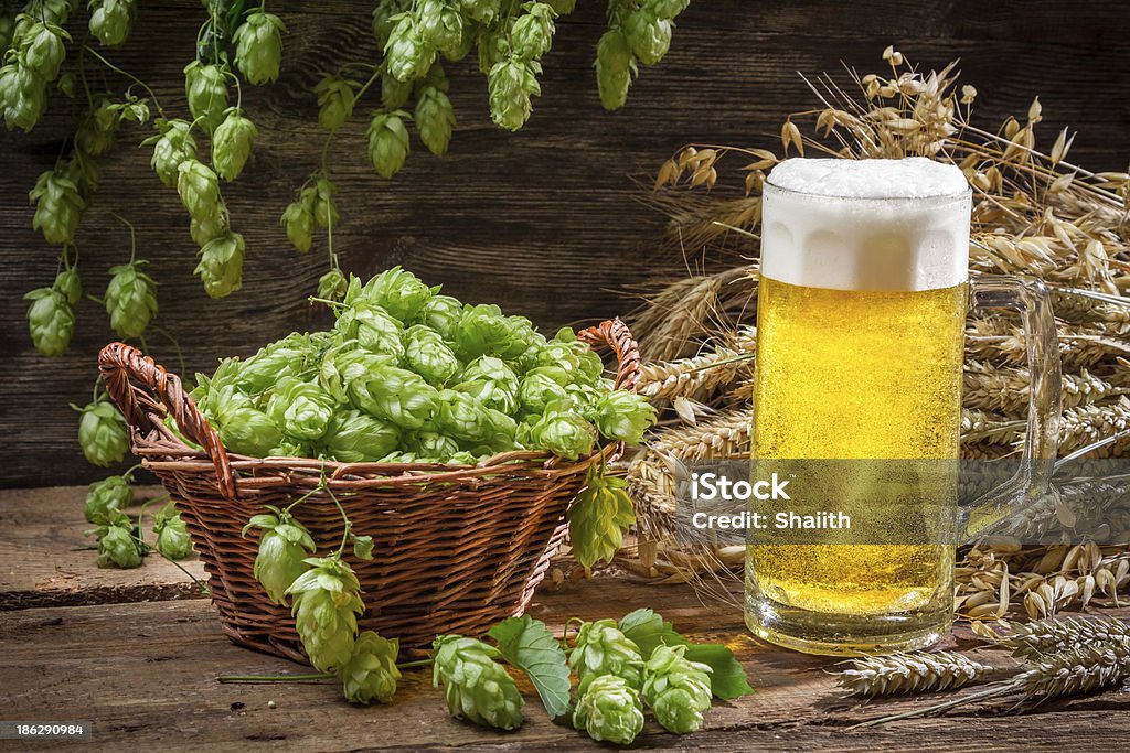 Cesto pieno di Luppolo e birra fredda - Foto stock royalty-free di Alchol