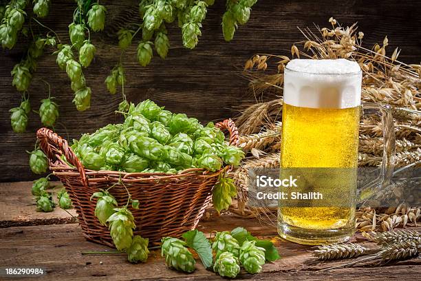 Cesto Pieno Di Luppolo E Birra Fredda - Fotografie stock e altre immagini di Alchol - Alchol, Bar, Bevanda spumosa