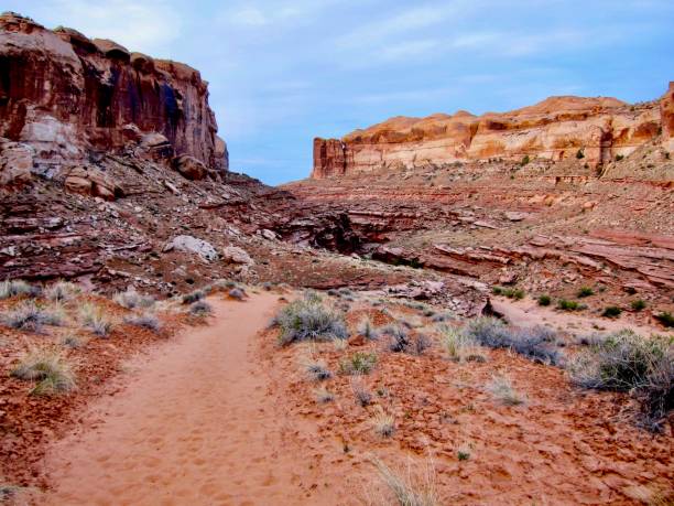 istock Trail leading out of Horseshoe Canyon 1862911262