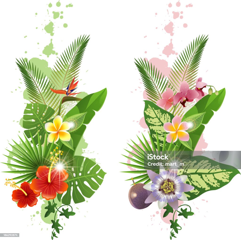 Tropical plants Bright tropical leafs and flowers - vector. EPS 10. File contains transparences! Passion Fruit stock vector