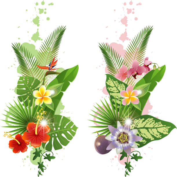 Tropical plants Bright tropical leafs and flowers - vector. EPS 10. File contains transparences! passion fruit flower stock illustrations