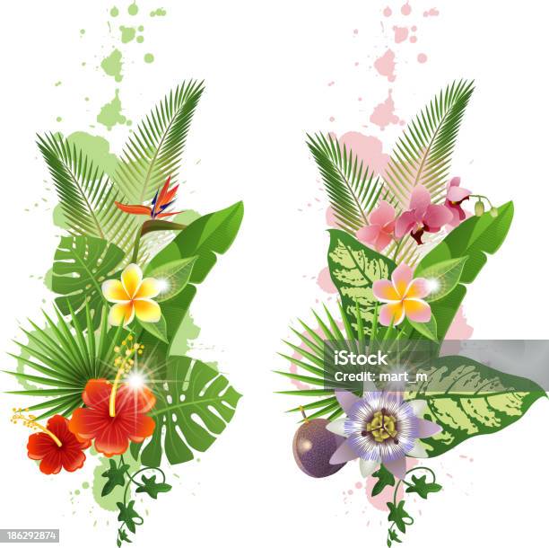 Tropical Plants Stock Illustration - Download Image Now - Passion Fruit, Flower, Backgrounds