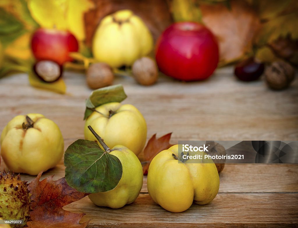 Colheita de outono (frutas) - Foto de stock de Agricultura royalty-free