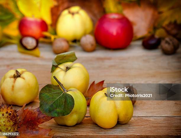 Foto de Colheita De Outono e mais fotos de stock de Agricultura - Agricultura, Alimentação Saudável, Amarelo