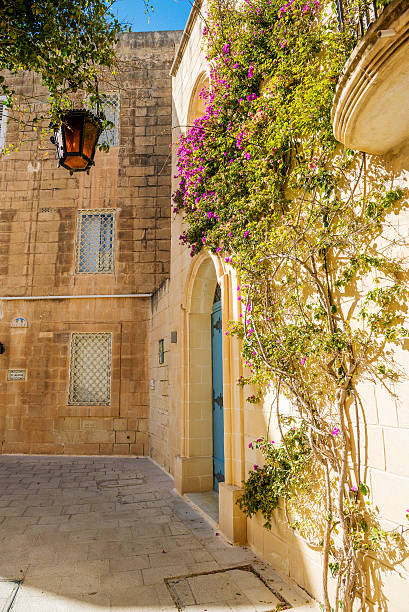 istock Mdina courtyard with fuchsiaflowers, malta 186294070